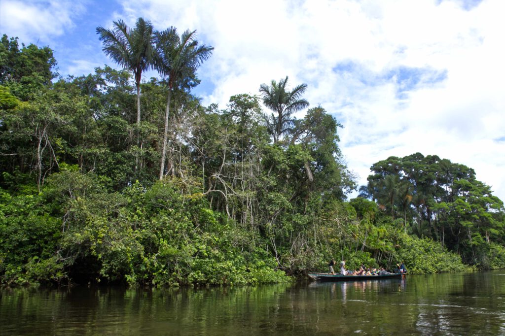 Lifestyle Ecuador: Mit dem Boot im Urwald von Ecuador, der Fluss heißt Cuyabeno