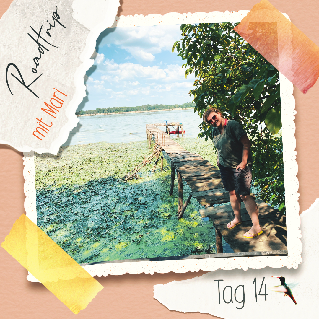 Roadtrip 14